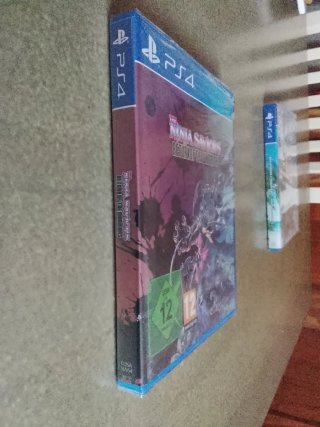 The Ninja Saviors: Return of the Warriors PS4