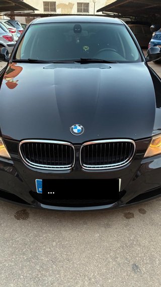 BMW Serie 3 2009