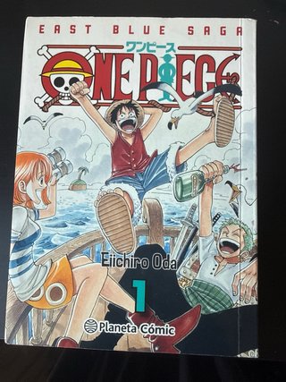 Libro One Piece 1