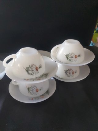 Set 6 Tazas y Platos Arcopal Margaritas
