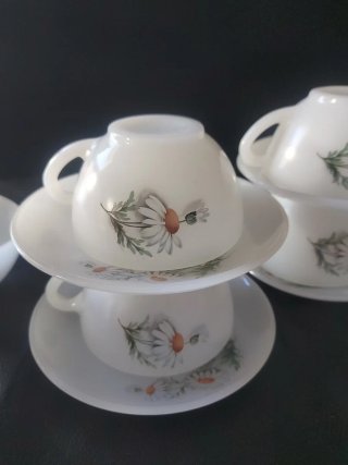 Set 6 Tazas y Platos Arcopal Margaritas