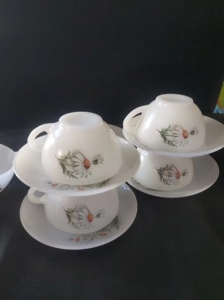 Set 6 Tazas y Platos Arcopal Margaritas