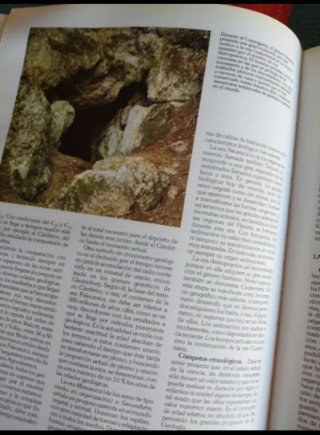 Libri di Storia Naturale e Cappuccetto Rosso a Manhattan