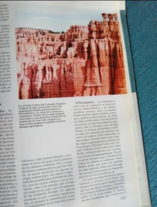 Libri di Storia Naturale e Cappuccetto Rosso a Manhattan