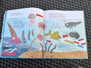 Desde entonces hasta ahora mi primer libro de la
