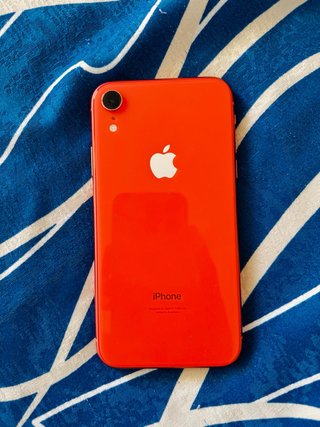iPhone XR Coral