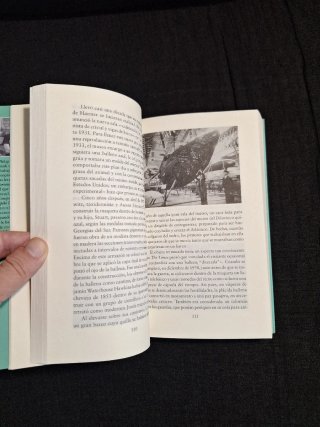 Philip Hoare. Leviatán o la ballena