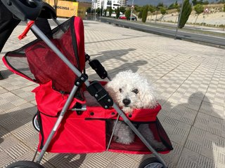 Carrito para Perros Flamingo
