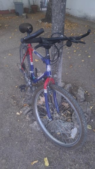 Bicicleta de Montaña