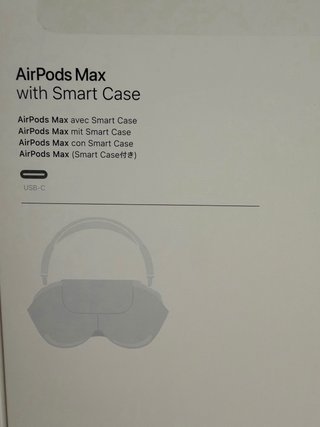 Airpods Max Apple Argento