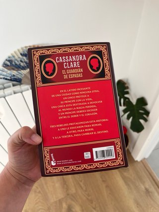 El guardián de espadas