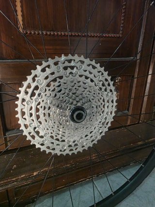 Ruedas 29 Shimano OC Orbea + Cassette Deore