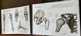Libro de asanas de yoga