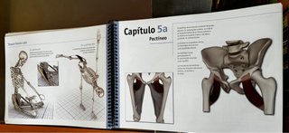 Libro de asanas de yoga