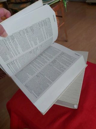 Diccionario de la Lengua Española RAE 2001