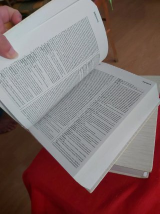 Diccionario de la Lengua Española RAE 2001