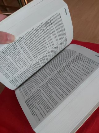 Diccionario de la Lengua Española RAE 2001