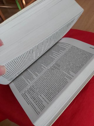 Diccionario de la Lengua Española RAE 2001