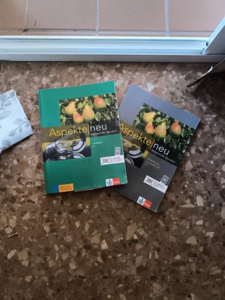 Aspekte neu c1 con arbeitsbuch