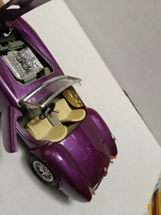 Cobra 1/24 Morado
