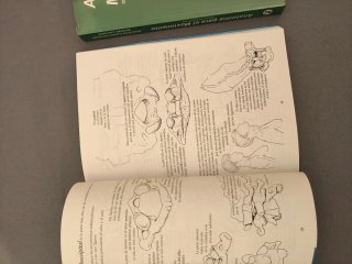 Anatomía para el moviminto