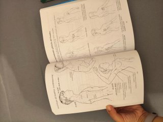 Anatomía para el moviminto