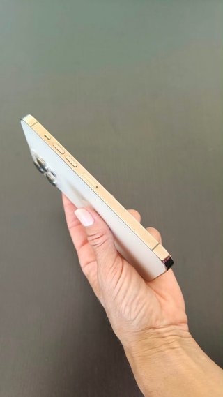 iPhone 13 Pro Max 128 GB Dorado con fundas Burga