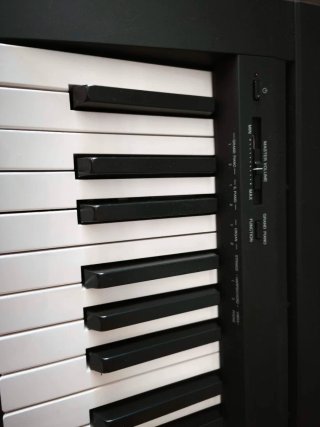 Piano Yamaha P-45