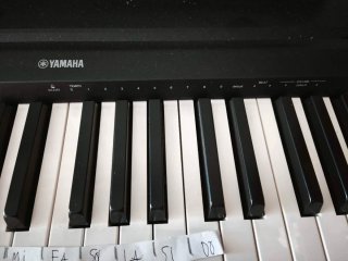 Piano Yamaha P-45