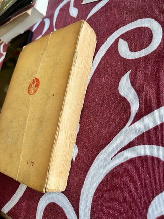 Il secolo nuovo