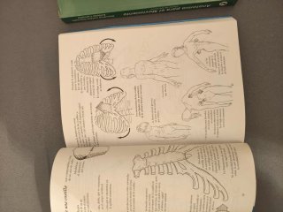 Anatomía para el movimiento tomo I y tomo II