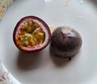 Maracuyá Edulis Morado 1 m