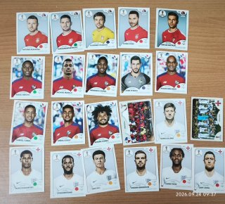 Cromos Panini Rusia 2018 para Anuska
