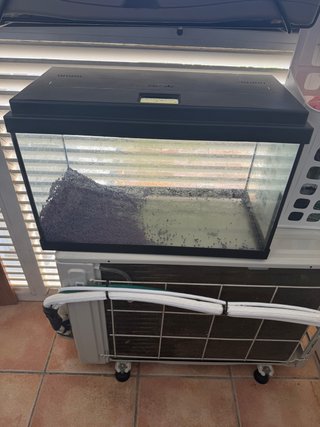 Pecera de 40 Litros