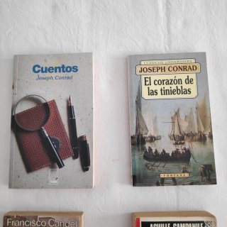 Lote libros novelas negras, crónica, prosa.