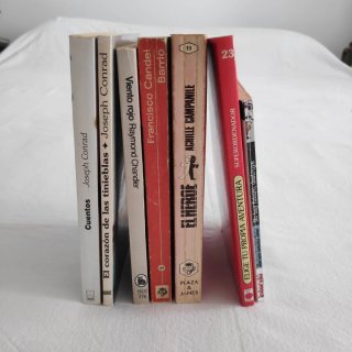 Lote libros novelas negras, crónica, prosa.