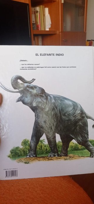 Vida Intima de Los Animales de Asia