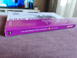 Los escarabajos vuelan al atardecer