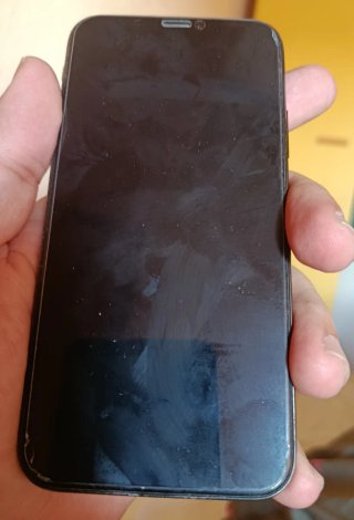 iPhone X
