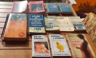Lote de libros y guías