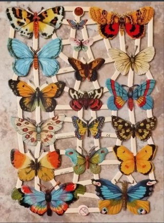 Lamina Cromos troquelados EF 7297. Mariposas