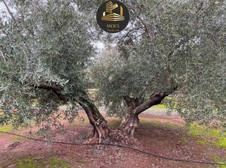 Terreno en venta en Arrayanes en Linares