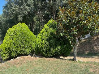 Terreno en venta en Arbúcies