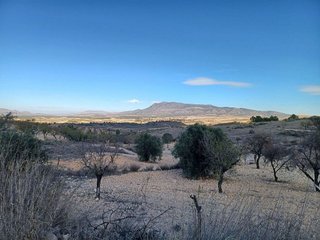 Casa rural en venta en Jumilla