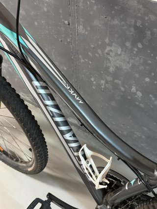 Bicicleta de Montaña Specialized Gris