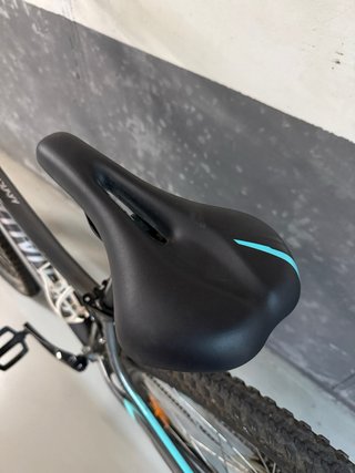 Bicicleta de Montaña Specialized Gris