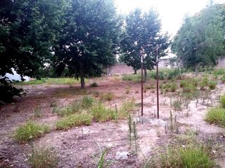 Terreno en venta en Vilafortuny - Cap de Sant Pere en Cambrils