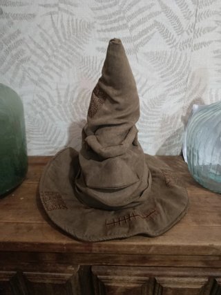 Sombrero Seleccionador Harry Potter