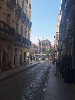 Local comercial en alquiler en Santa Cruz - Alfalfa en Sevilla