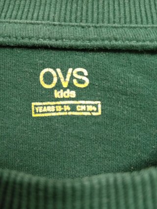 Camiseta Manga Larga Verde OVS